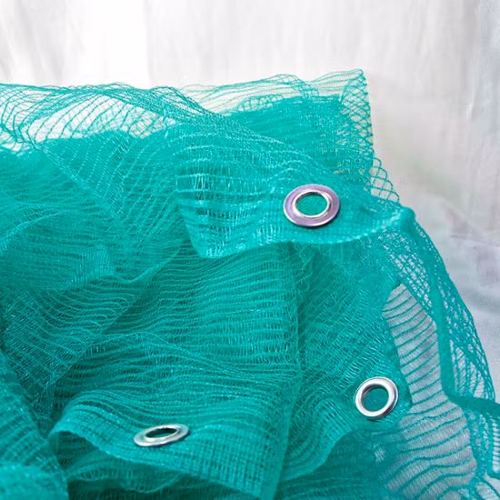 건축 현장용 비계를 위한 로고 메쉬 그물세공이 있는 공장 저렴한 가격